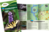 Brochures and Sellsheets sample
